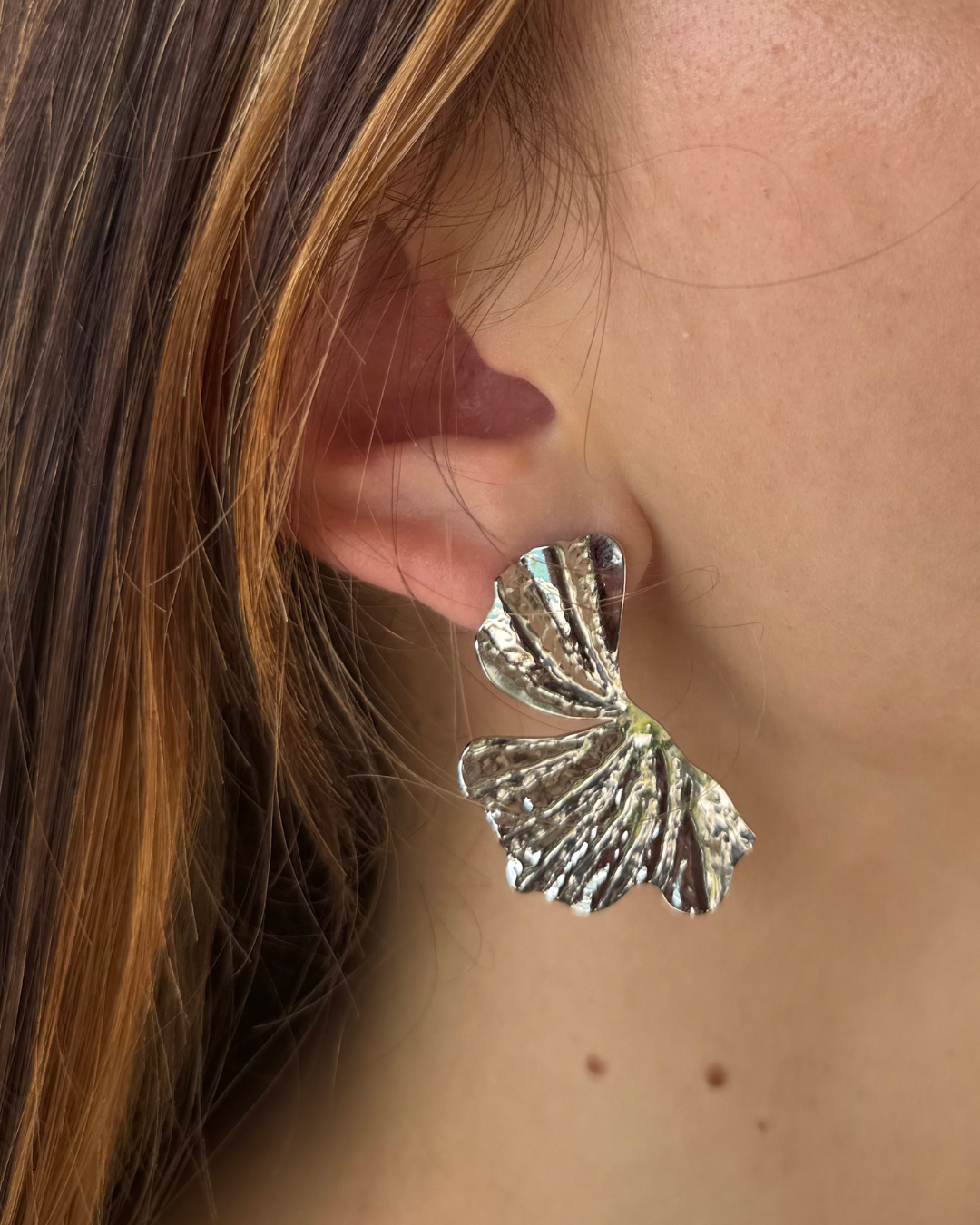 Boucles d'oreilles Fiona Argentées